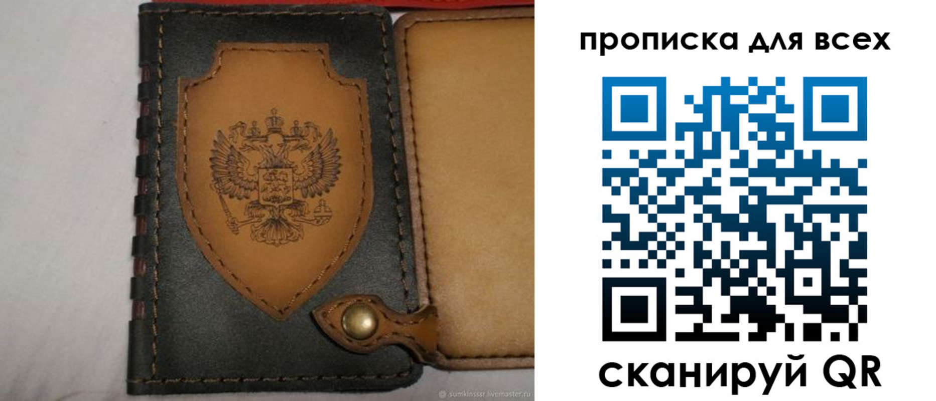 прописка для школы в Новом Осколе